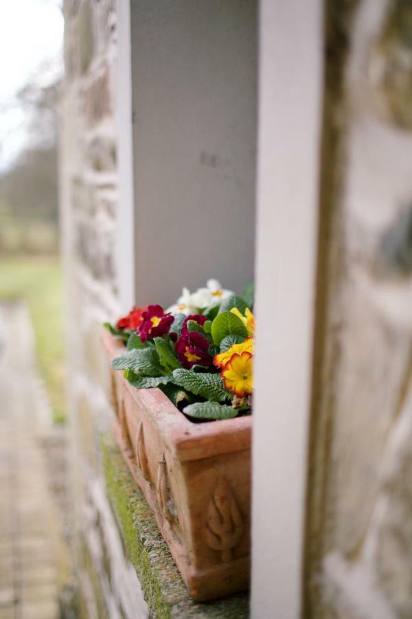 Scion Hill Gate Lodge Hillsborough Bagian luar foto